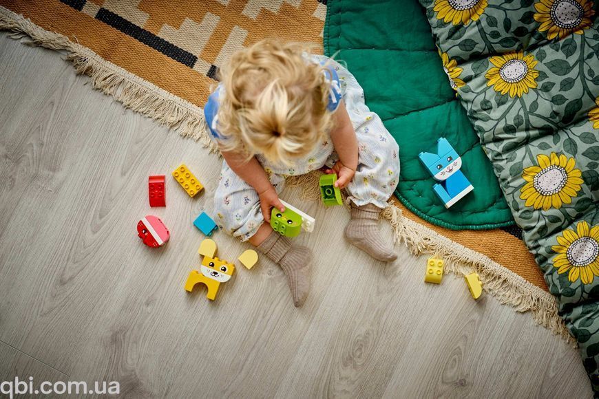 LEGO DUPLO Чарівні творчі домашні улюбленці 3 в 1 (10477) у зібраному вигляді