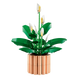 LEGO Botanicals Спатифиллум (11504) &mdash; фото 13