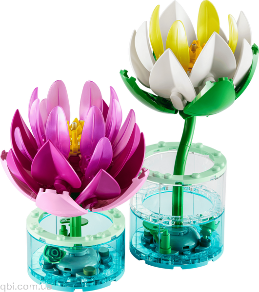 LEGO Botanicals Латаття (11511) у зібраному вигляді