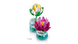 LEGO Botanicals Латаття (11511) &mdash; фото 7