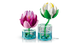 LEGO Botanicals Латаття (11511) &mdash; фото 6