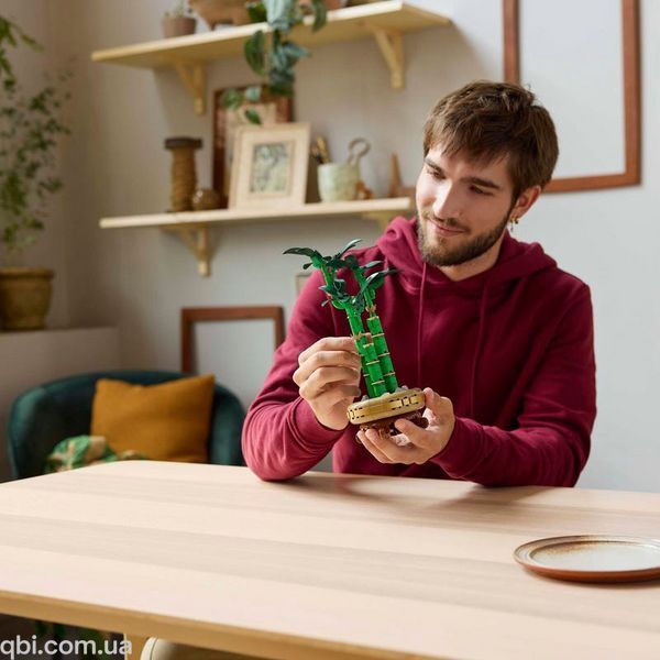 LEGO Botanicals Бамбук счастья (10344) в собранном виде