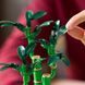 LEGO Botanicals Бамбук счастья (10344) &mdash; фото 7