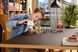 LEGO Minecraft Напад на село з повітряною кулею Ґаст (21273) &mdash; фото 5