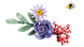 LEGO Botanicals Букет квітів Олівії Родріґо (11507) &mdash; фото 10