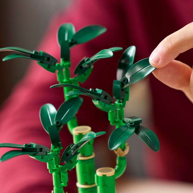 LEGO 10344 Botanicals Бамбук счастья – собранная композиция в интерьере