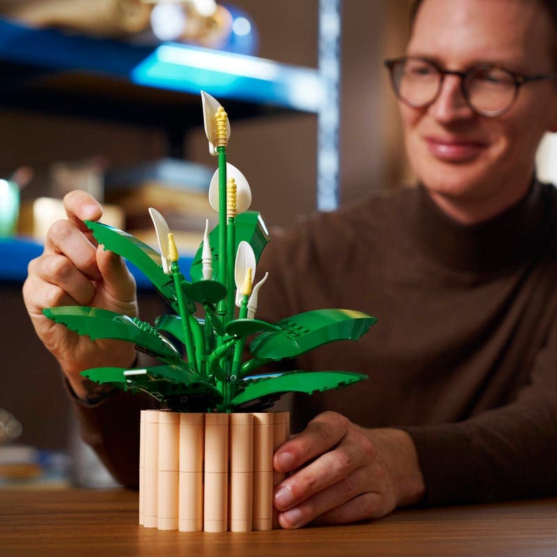Конструктор LEGO Botanicals 11504 Спатифиллум в собранном виде